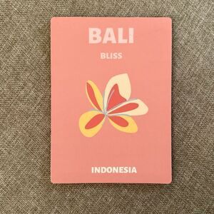 Bali Souvenir Magnet